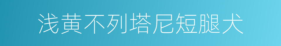 浅黄不列塔尼短腿犬的同义词