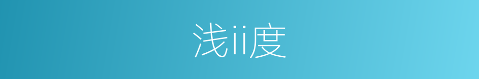 浅ii度的同义词