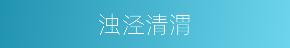 浊泾清渭的意思