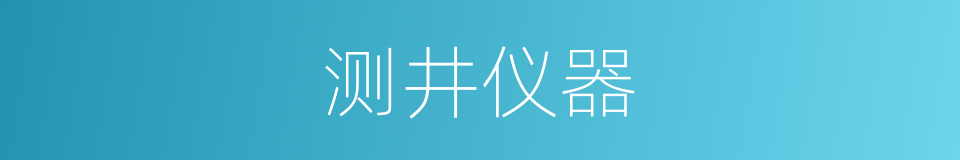 测井仪器的同义词