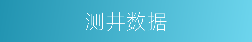 测井数据的意思