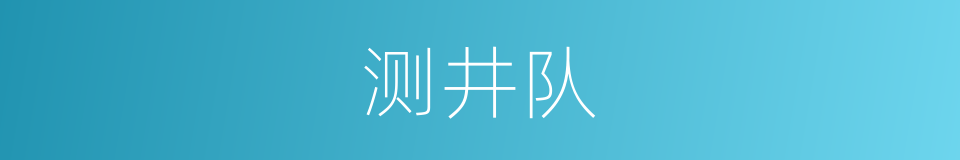 测井队的同义词