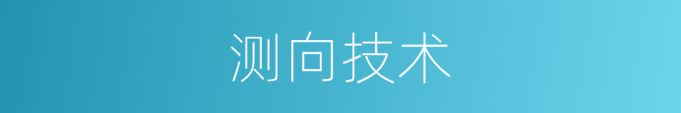 测向技术的同义词