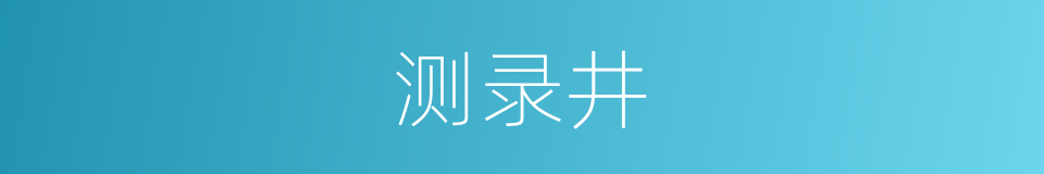 测录井的同义词