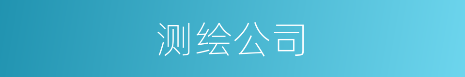 测绘公司的同义词
