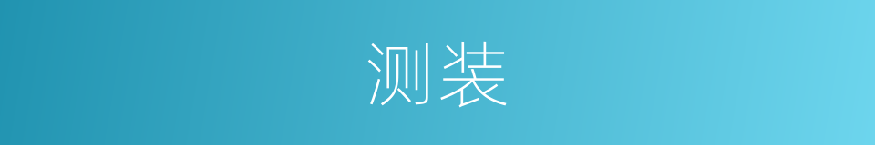 测装的同义词