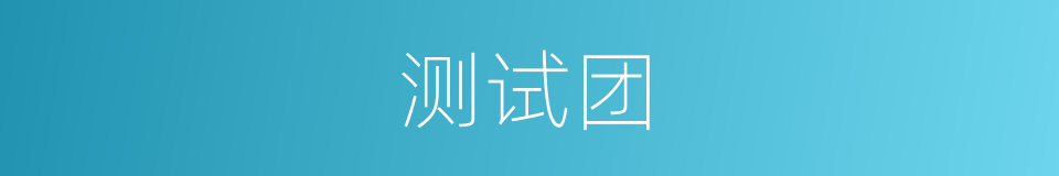 测试团的同义词