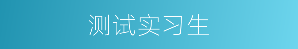 测试实习生的同义词