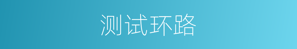 测试环路的同义词