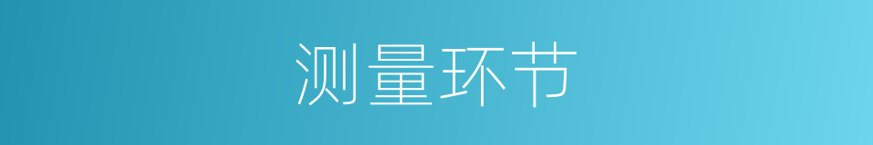 测量环节的同义词