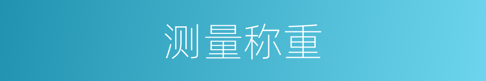 测量称重的同义词