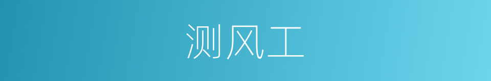 测风工的同义词