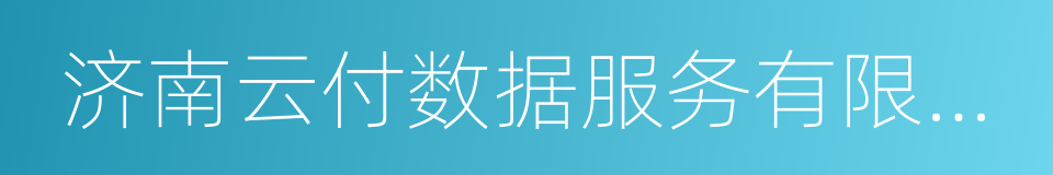 济南云付数据服务有限公司的同义词