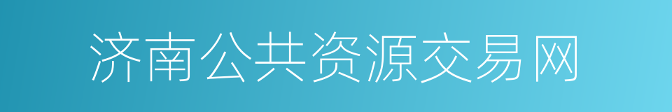 济南公共资源交易网的同义词