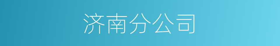 济南分公司的同义词