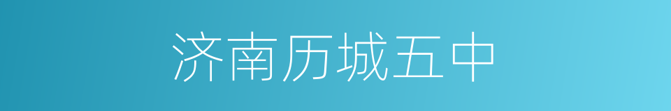 济南历城五中的同义词