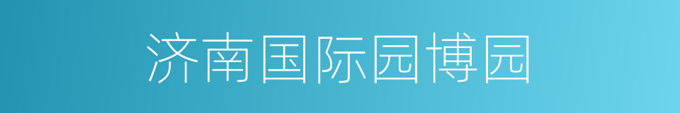 济南国际园博园的同义词