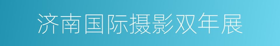 济南国际摄影双年展的同义词