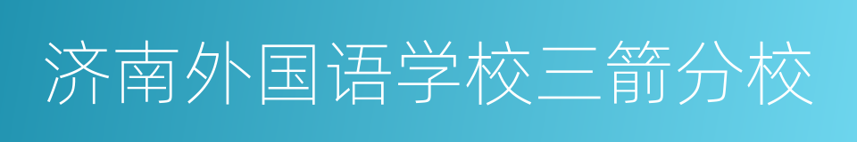 济南外国语学校三箭分校的同义词