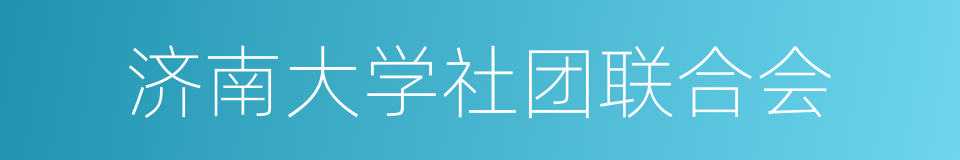 济南大学社团联合会的同义词