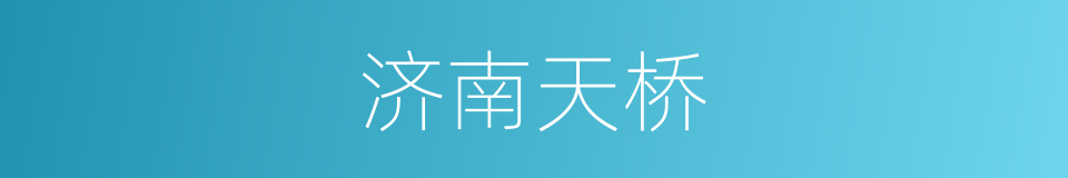 济南天桥的同义词
