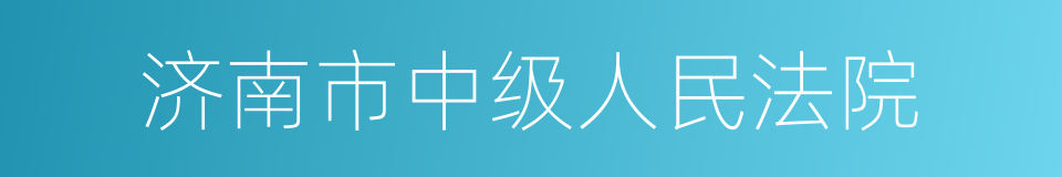 济南市中级人民法院的同义词