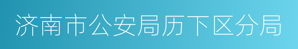 济南市公安局历下区分局的同义词