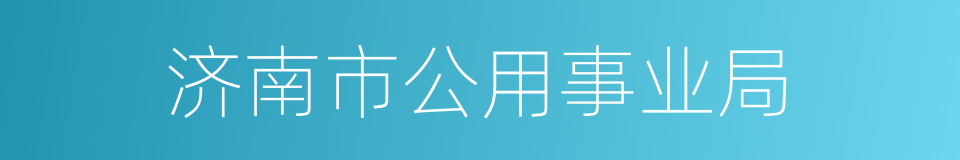 济南市公用事业局的同义词