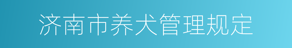 济南市养犬管理规定的同义词