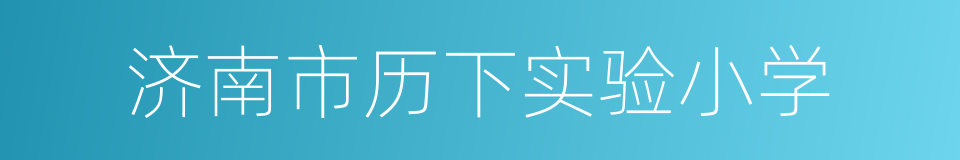 济南市历下实验小学的同义词