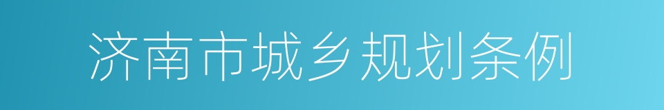 济南市城乡规划条例的同义词