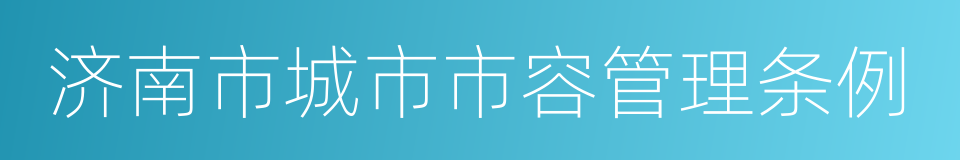 济南市城市市容管理条例的同义词