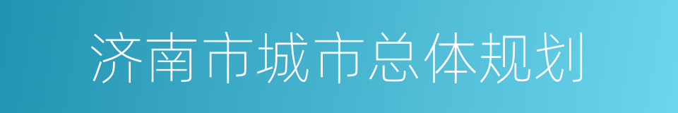 济南市城市总体规划的同义词