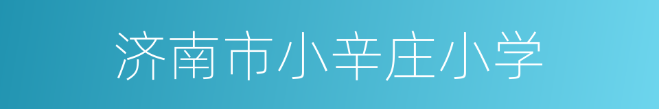 济南市小辛庄小学的同义词