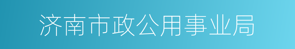 济南市政公用事业局的同义词