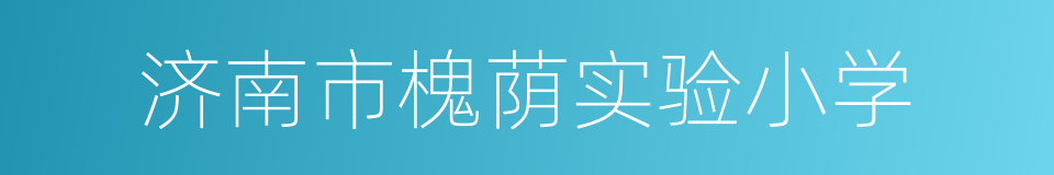 济南市槐荫实验小学的同义词