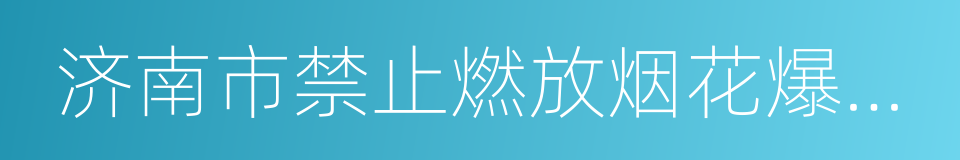 济南市禁止燃放烟花爆竹的规定的意思