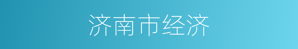 济南市经济的同义词