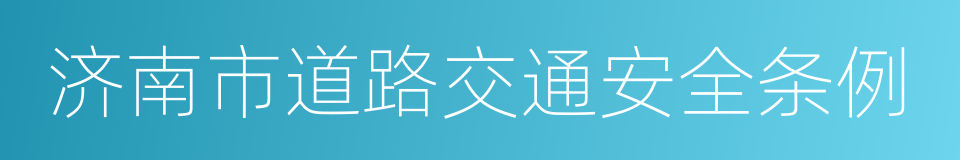 济南市道路交通安全条例的同义词