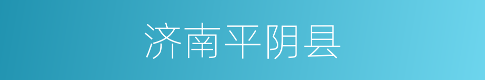济南平阴县的同义词