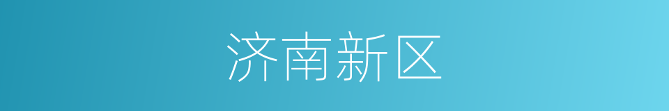 济南新区的同义词
