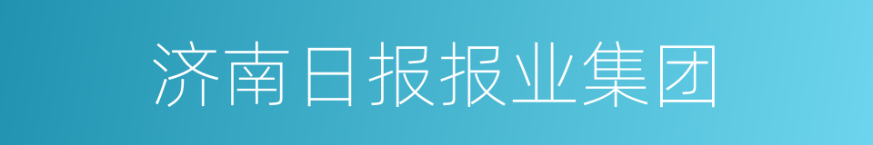 济南日报报业集团的同义词