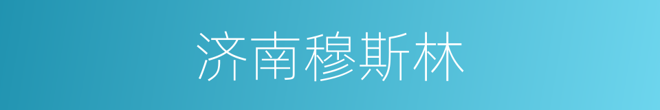 济南穆斯林的同义词