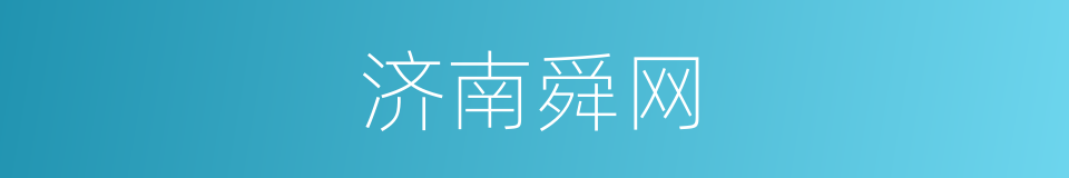 济南舜网的同义词