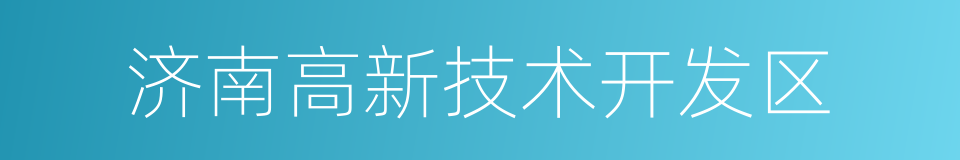 济南高新技术开发区的同义词