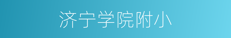 济宁学院附小的同义词