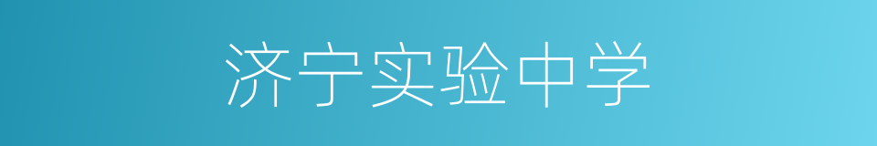 济宁实验中学的同义词
