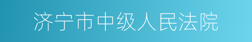 济宁市中级人民法院的同义词