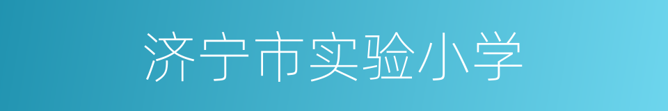 济宁市实验小学的同义词