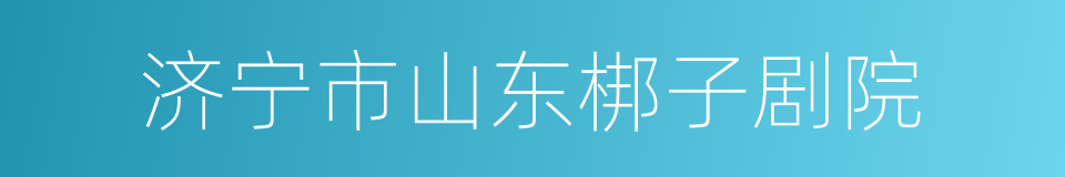 济宁市山东梆子剧院的同义词